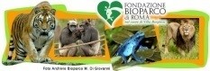 Bioparco di Roma